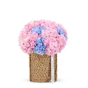 Mix Hydrangea Floral Basket